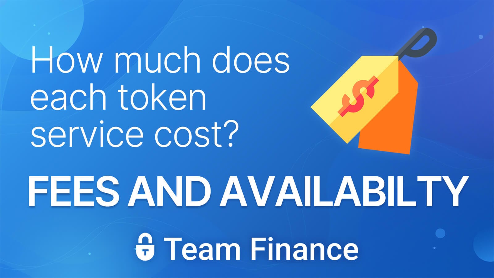 How much does it cost for token management?